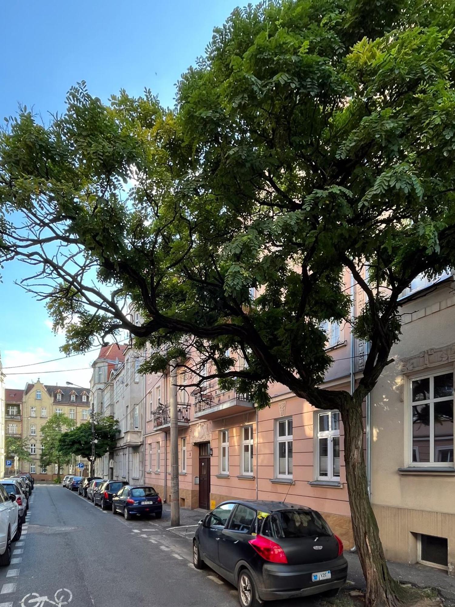 Apartament Dlugosza 3 - Jak W Domu - Idealny Na Dlugie Pobyty I Weekendy บิดกอชซ์ ภายนอก รูปภาพ